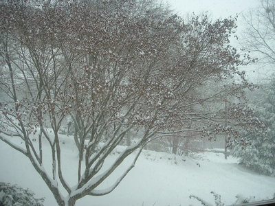 December snowstorm 2005 001.jpg